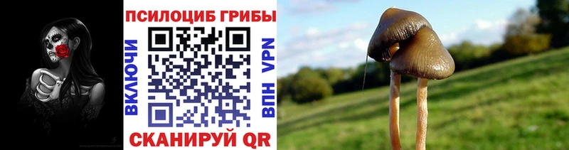 darknet клад  Партизанск  Галлюциногенные грибы Magic Shrooms 