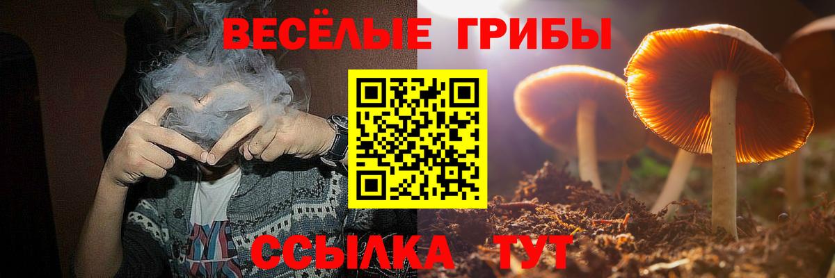 Псилоцибиновые грибы MAGIC MUSHROOMS Партизанск